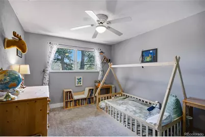 31280 Florence Road, Conifer, CO 80433 - Photo 24