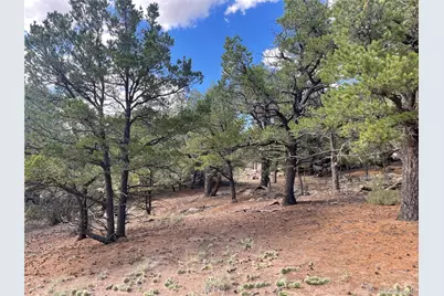 576 Panorama, Crestone, CO 81131 - Photo 14