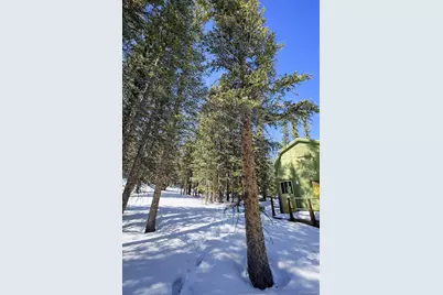 163 Prunes Place, Fairplay, CO 80440 - Photo 24