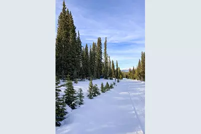 163 Prunes Place, Fairplay, CO 80440 - Photo 30