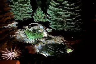 1475 Elk View Rd, Larkspur, CO 80118 - Photo 42