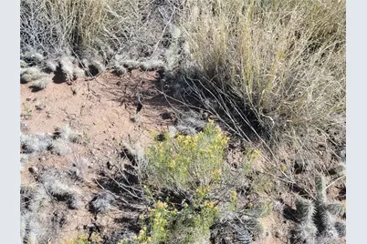 00 Jj 3rd Street, Blanca, CO 81123 - Photo 6