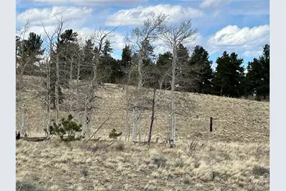 187 Angus Circle, Hartsel, CO 80449 - Photo 4