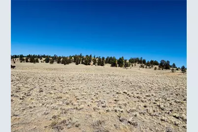 3067 Fitzsimmons Road, Hartsel, CO 80449 - Photo 8