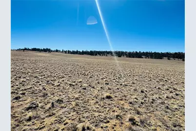 3067 Fitzsimmons Road, Hartsel, CO 80449 - Photo 10