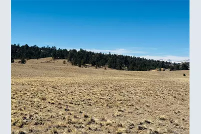 3067 Fitzsimmons Road, Hartsel, CO 80449 - Photo 6