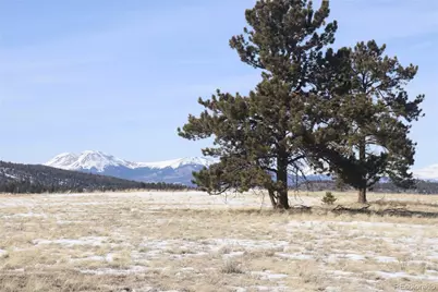 96 Baler Court, Hartsel, CO 80449 - Photo 2