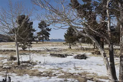 96 Baler Court, Hartsel, CO 80449 - Photo 1