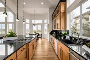 14032 Kahler Pl, Broomfield, CO 80023 - Photo 14