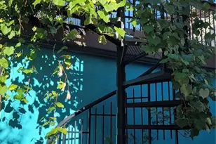 362 N Monroe St, Denver, CO 80206 - Photo 24