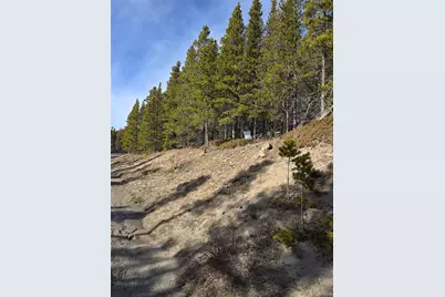 Lot 680 Alice Road, Idaho Springs, CO 80453 - Photo 6