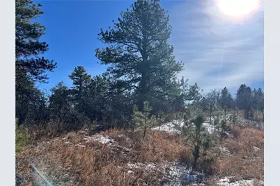 6764 Yampa Drive, Larkspur, CO 80118 - Photo 16