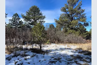 6764 Yampa Drive, Larkspur, CO 80118 - Photo 8