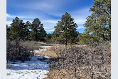 6764 Yampa Drive, Larkspur, CO 80118 - Photo 4