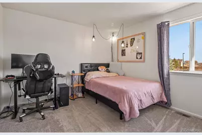 6336 Millbridge Avenue, Castle Rock, CO 80104 - Photo 32