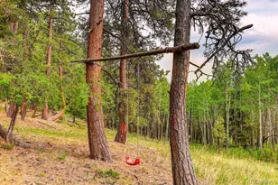 13338 Elsie Rd, Conifer, CO 80433 - Photo 46