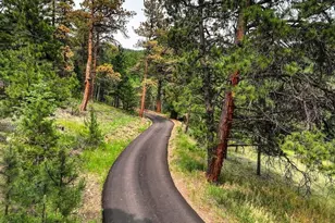 13338 Elsie Rd, Conifer, CO 80433 - Photo 44