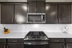 17369 Red Cosmos Pt, Parker, CO 80134 - Photo 16