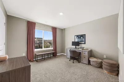 17369 Red Cosmos Point, Parker, CO 80134 - Photo 22
