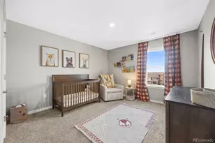 17369 Red Cosmos Pt, Parker, CO 80134 - Photo 18