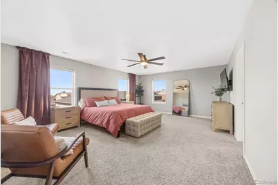 17369 Red Cosmos Point, Parker, CO 80134 - Photo 28