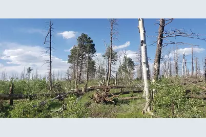 Lot 1406 Emery Loop, Fort Garland, CO 81133 - Photo 8