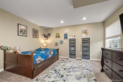 12223 S Buffalo Gap Trail, Parker, CO 80134 - Photo 44