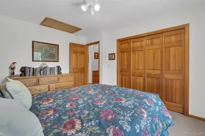 915 N Bluff Drive, Franktown, CO 80116 - Photo 22