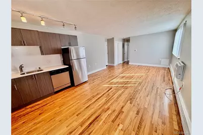 1258 N Marion Street, Denver, CO 80218 - Photo 14