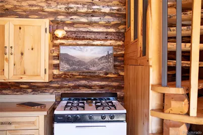 1001 County Rd 17, Lake City, CO 81235 - Photo 8