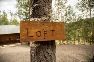 1001 County Rd 17, Lake City, CO 81235 - Photo 2