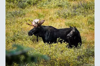 28176 Alabraska Lane, Evergreen, CO 80439 - Photo 30