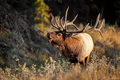 28176 Alabraska Lane, Evergreen, CO 80439 - Photo 28