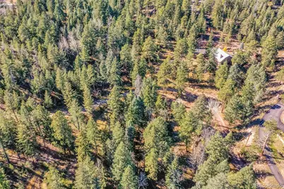 28176 Alabraska Lane, Evergreen, CO 80439 - Photo 32