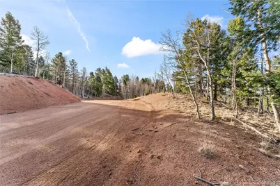 728 Little Topsey Drive, Cripple Creek, CO 80813 - Photo 16