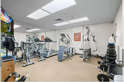 1950 N Logan Street #408, Denver, CO 80203 - Photo 36