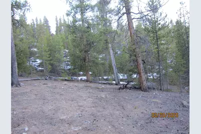 446 Mt Massive Drive, Twin Lakes, CO 81251 - Photo 12