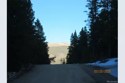446 Mt Massive Drive, Twin Lakes, CO 81251 - Photo 6