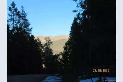 446 Mt Massive Drive, Twin Lakes, CO 81251 - Photo 18