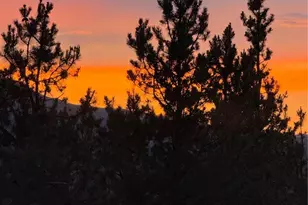 446 Mount Massive Dr, Twin Lakes, CO 81251 - Photo 1