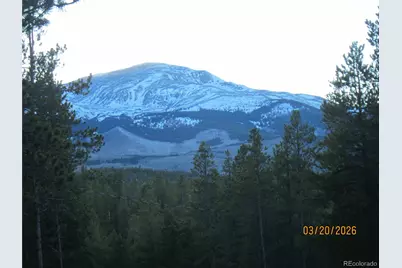 446 Mt Massive Drive, Twin Lakes, CO 81251 - Photo 16