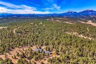 23100 Spirit Mountain Dr, Aguilar, CO 81020 - Photo 6