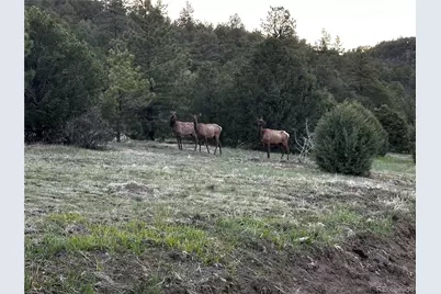 33280 Turkey Creek Lane, Trinidad, CO 81082 - Photo 44