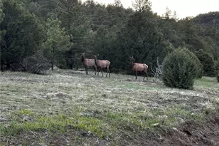 33280 Turkey Creek Ln, Trinidad, CO 81082 - Photo 44