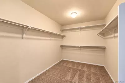 11834 Phoebe Street, Parker, CO 80134 - Photo 24