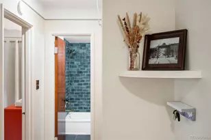 1175 N Emerson Street, Denver, CO 80218 - Photo 30