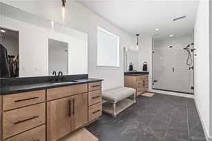 364 Welded Tuff Trl, Castle Rock, CO 80104 - Photo 26