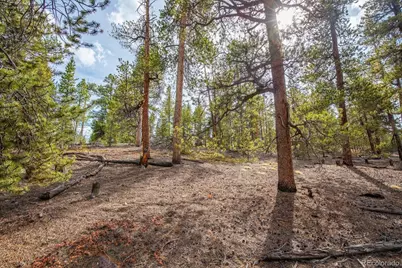 198 Lodgepole Drive, Leadville, CO 80461 - Photo 14