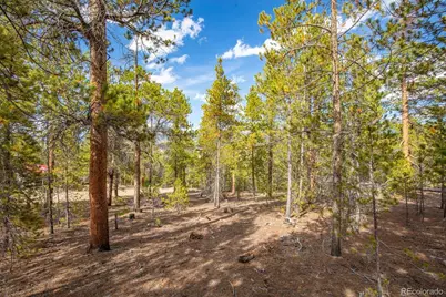 198 Lodgepole Drive, Leadville, CO 80461 - Photo 10
