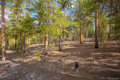 198 Lodgepole Drive, Leadville, CO 80461 - Photo 8